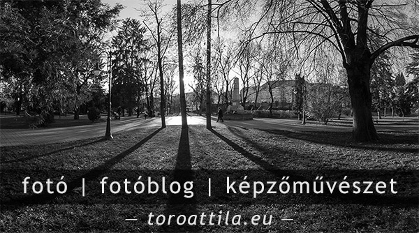 toroattila.eu - Toró Attila szakmai honlapja