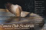 Camera  Club Siculorum