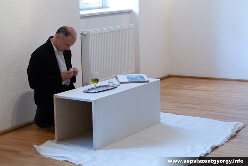 mt_gallery: eruptio toro attila 01