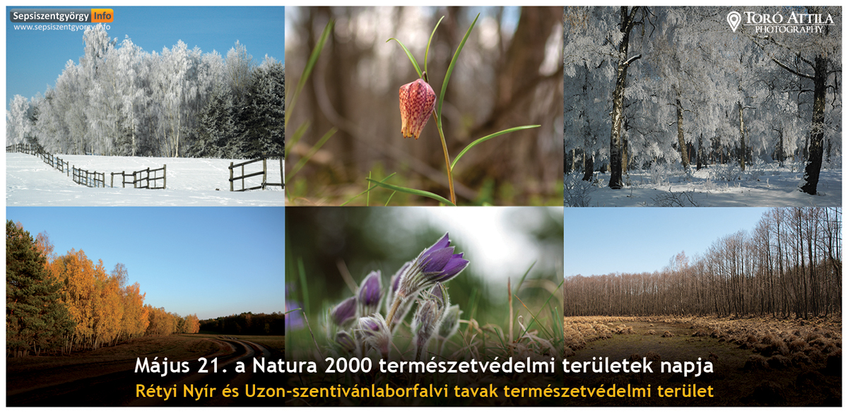 natura2000 web