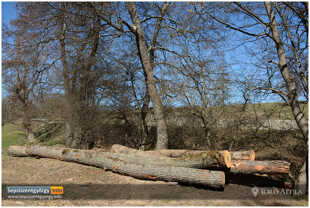 mt_gallery: eros oldal sepsiszentgyorgy 01