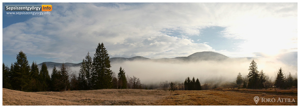 sepsiinfo ozsdola 01