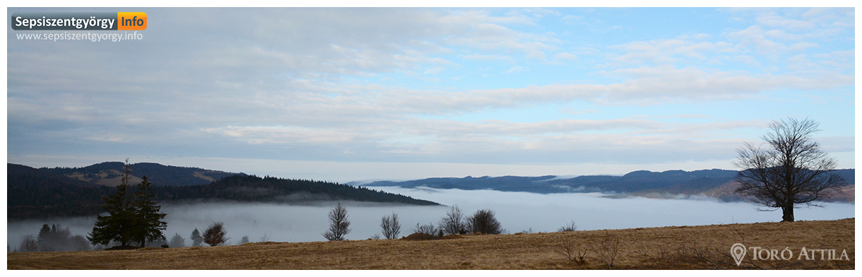 sepsiinfo ozsdola 02