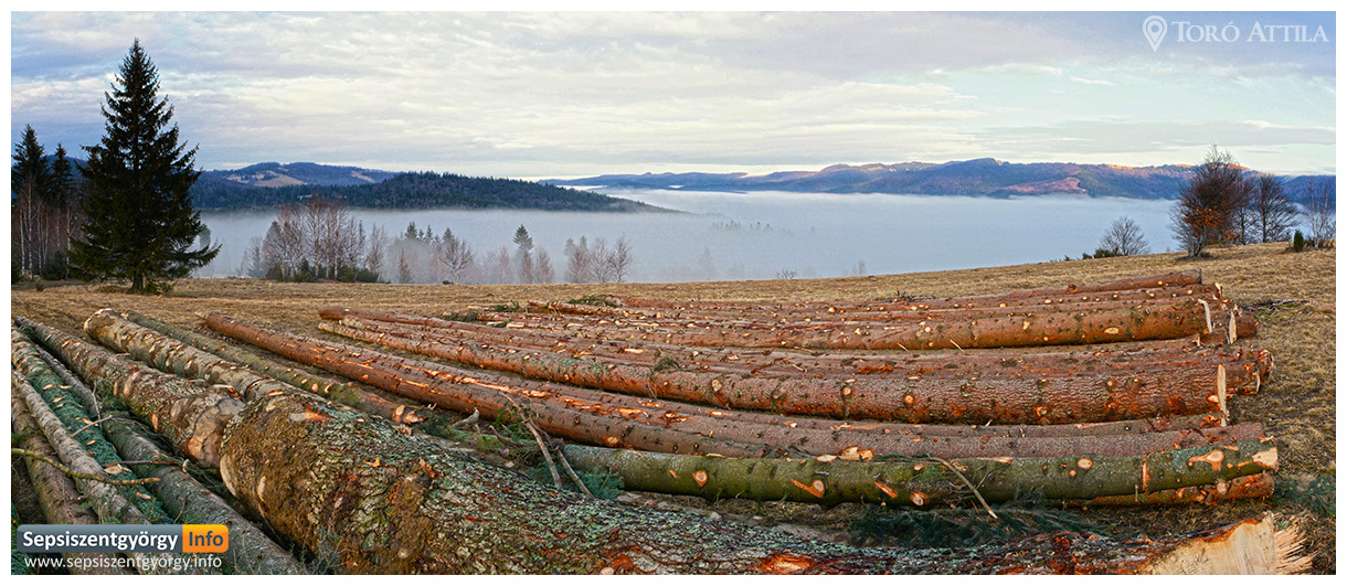 sepsiinfo ozsdola 03