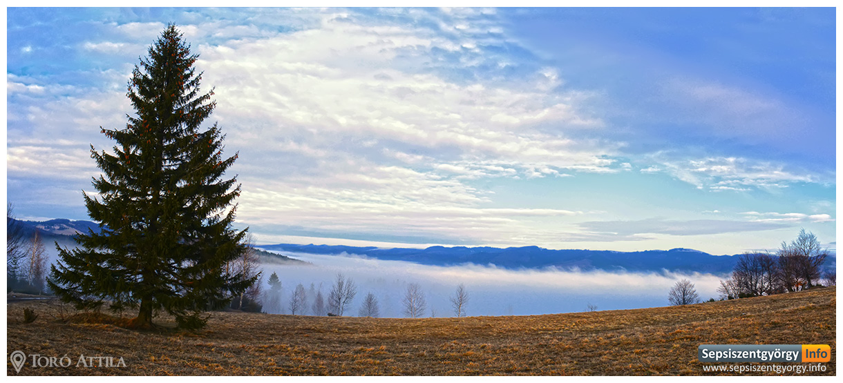 sepsiinfo ozsdola 04