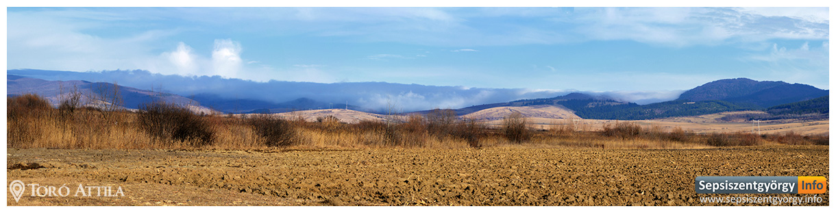 sepsiinfo ozsdola 05