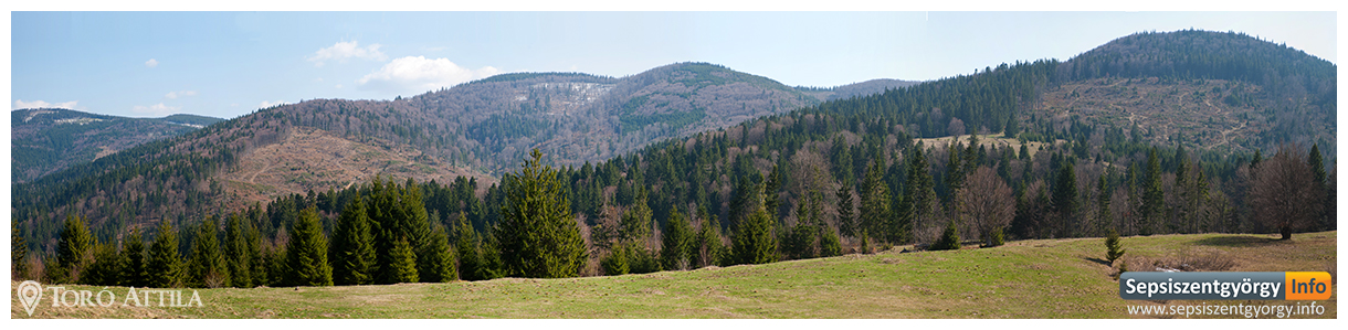 sepsiinfo ozsdola 06