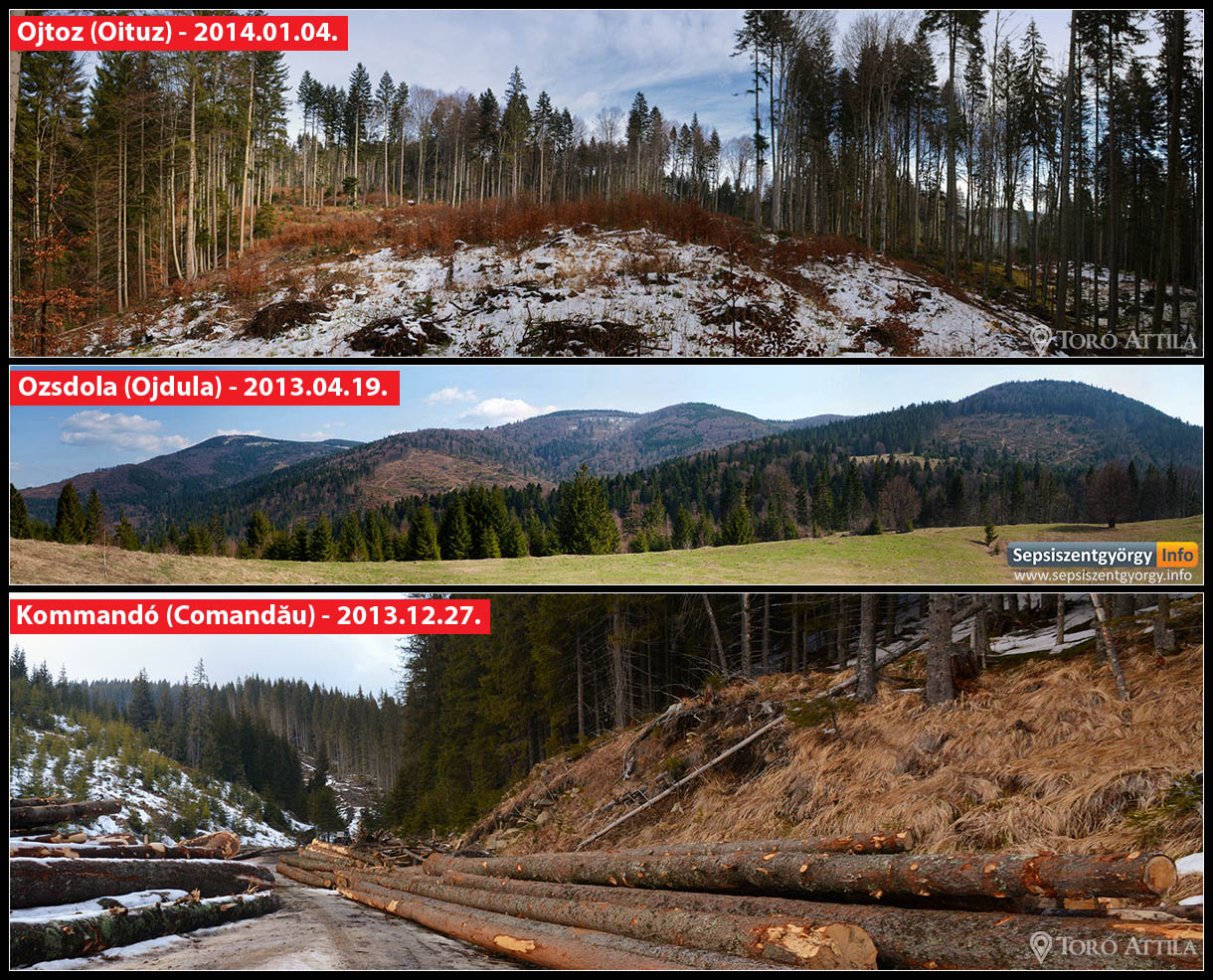 Erdőkitermelés Háromszéken