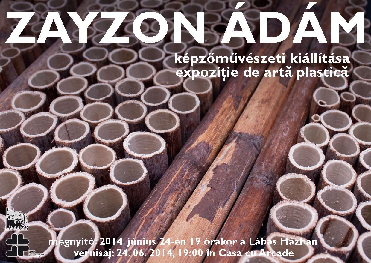 ​Zayzon Ádám első képzőművészeti kiállítása Sepsiszentgyörgyön