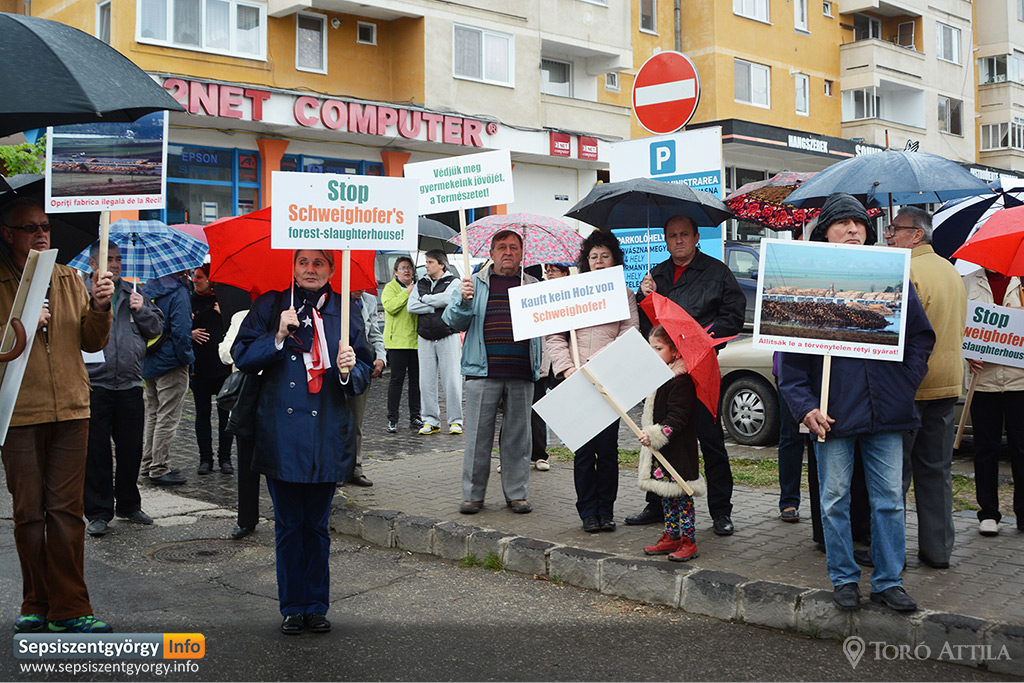 mt_gallery: erdo tuntete sepsiszentgyorgy 01