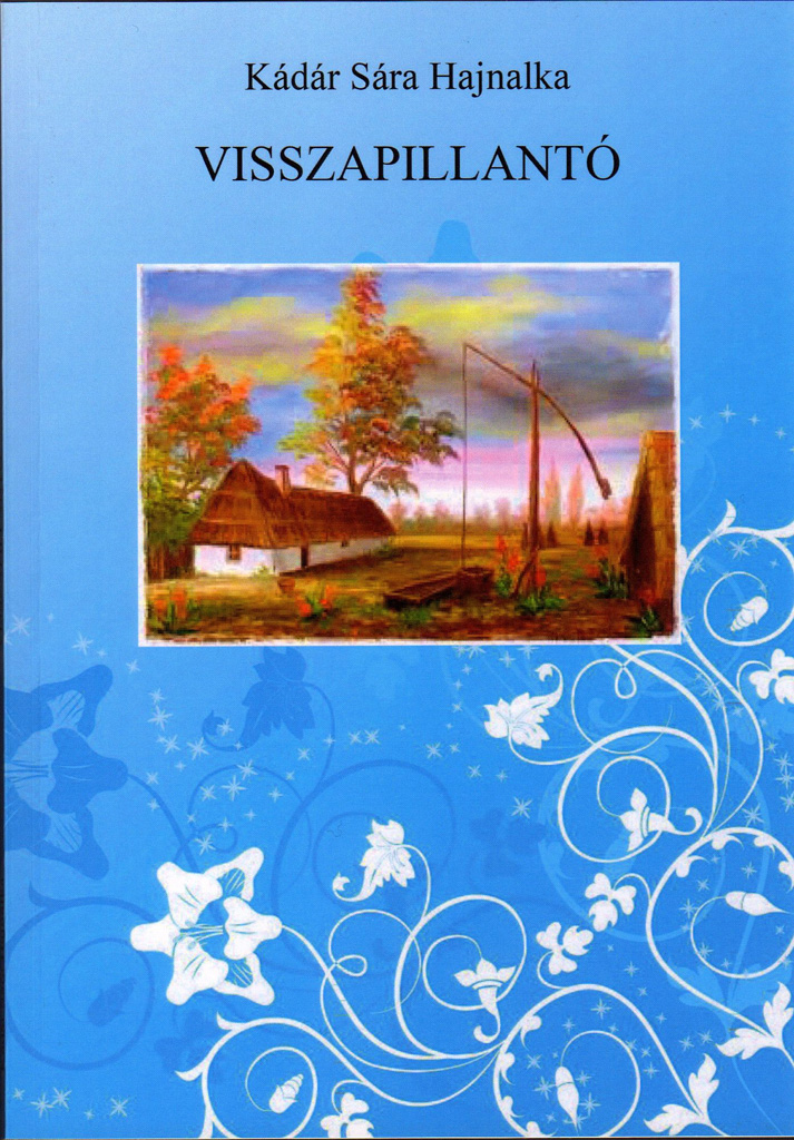 Kádár Sára Hajnalka novelláskötetének bemutatója a Bod Péter Megyei Könyvtárban