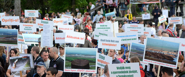 tuntetes majus 9 foto toro attila