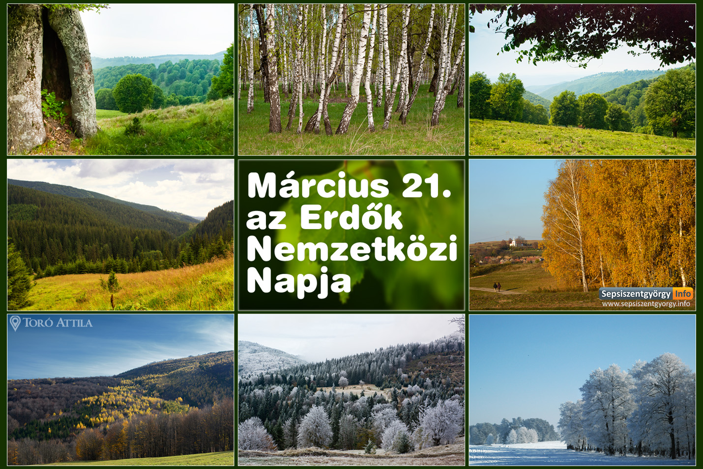 erdok nemzetkozi napja