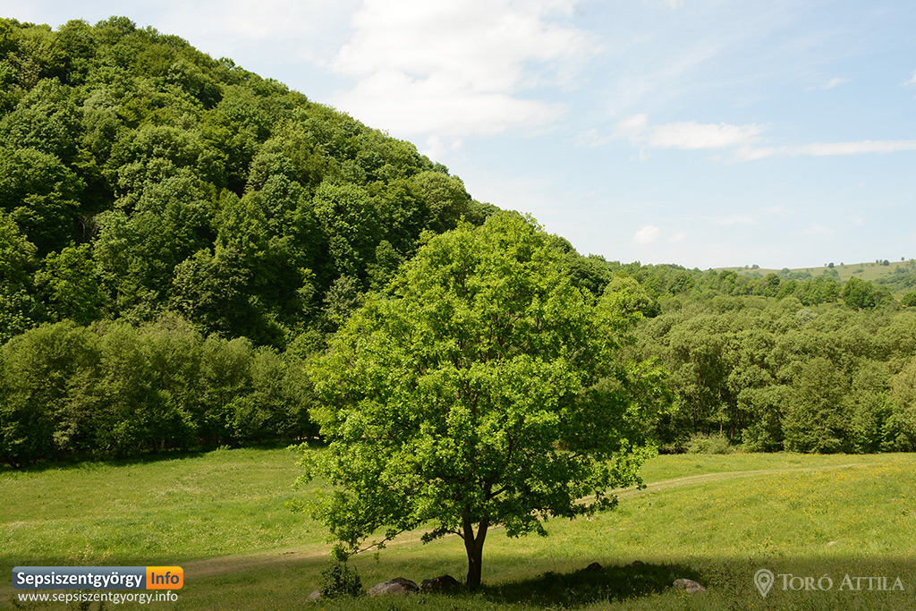 mt_gallery: vargyas szoros 2015 01