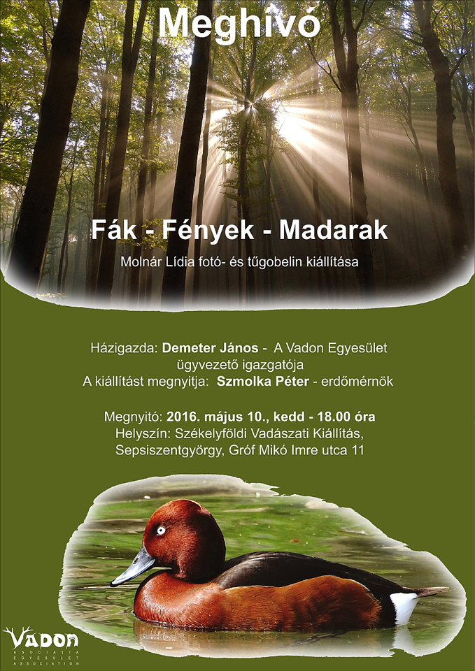 Fak fenyek madarak hu k