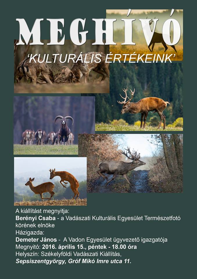vadaszat fenykepezogeppel
