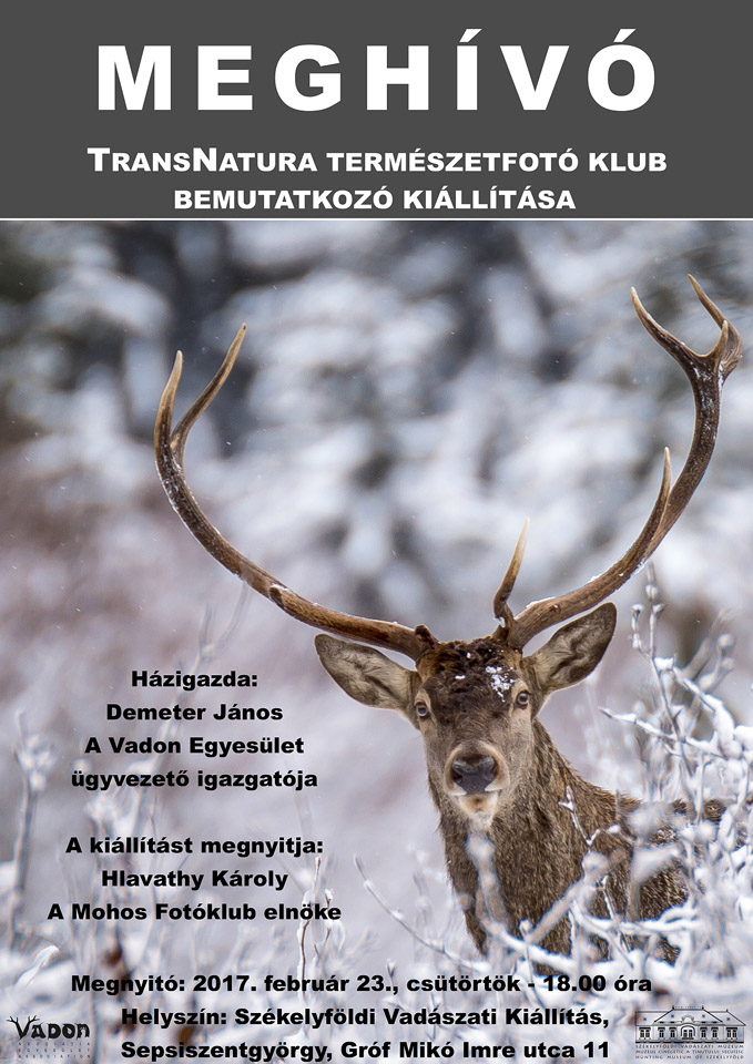 TransNatura kiallitas960