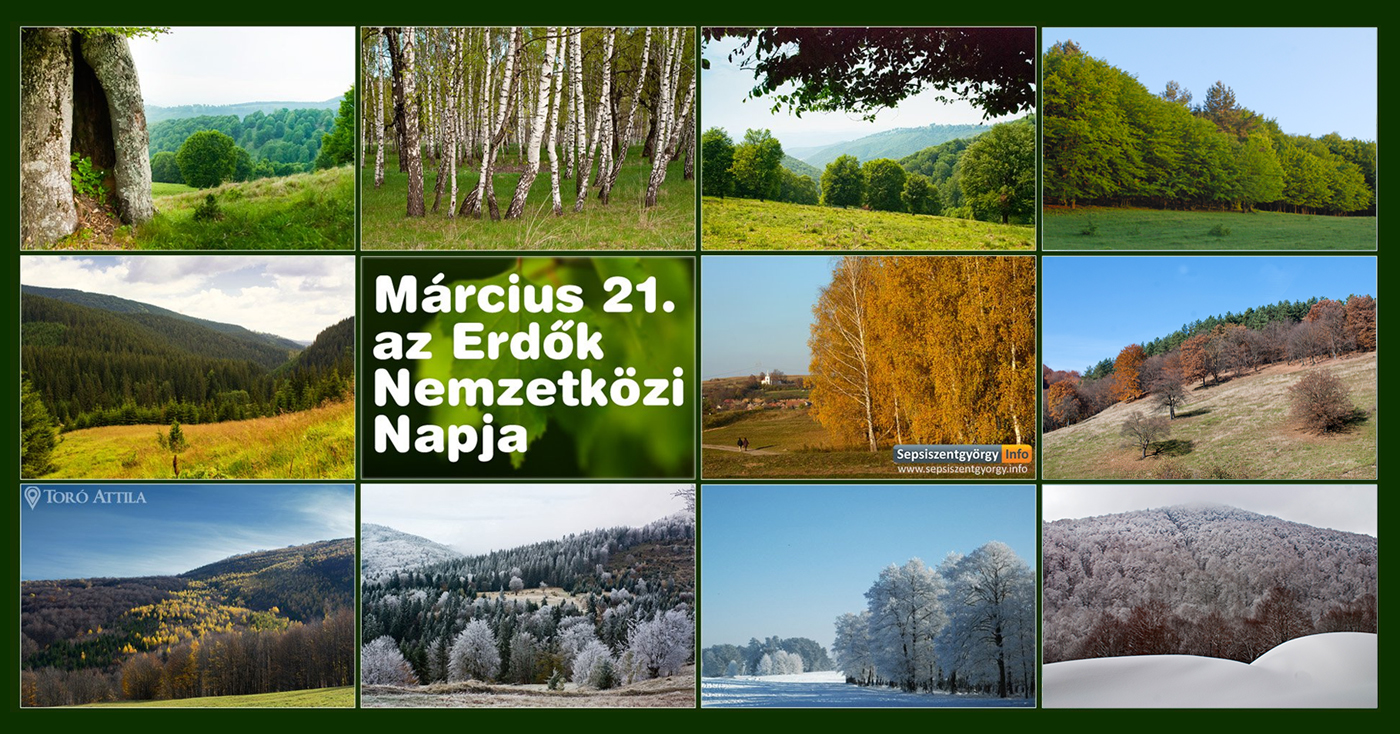 Március 21. az Erdők Nemzetközi Napja