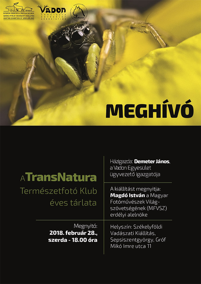 A TransNatura Természetfotó Klub éves tárlata