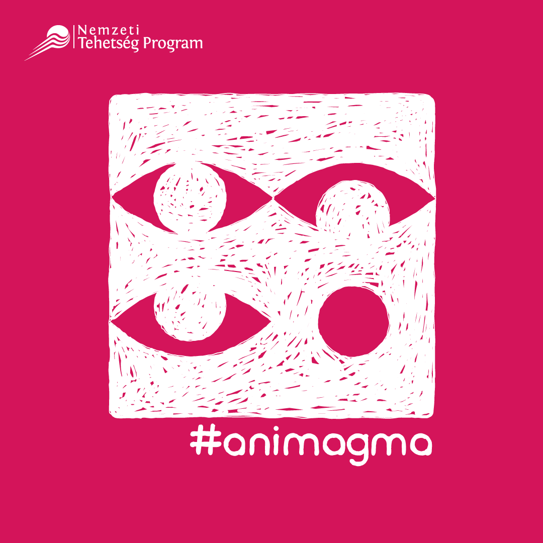 #animagma tehetséggondozó animációs workshop és tanfolyam indul a MAGMÁban
