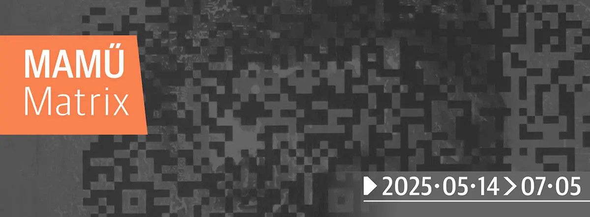 MAMŰ Mátrix – Újabb kortárs tárlat az Erdélyi Művészeti Központban