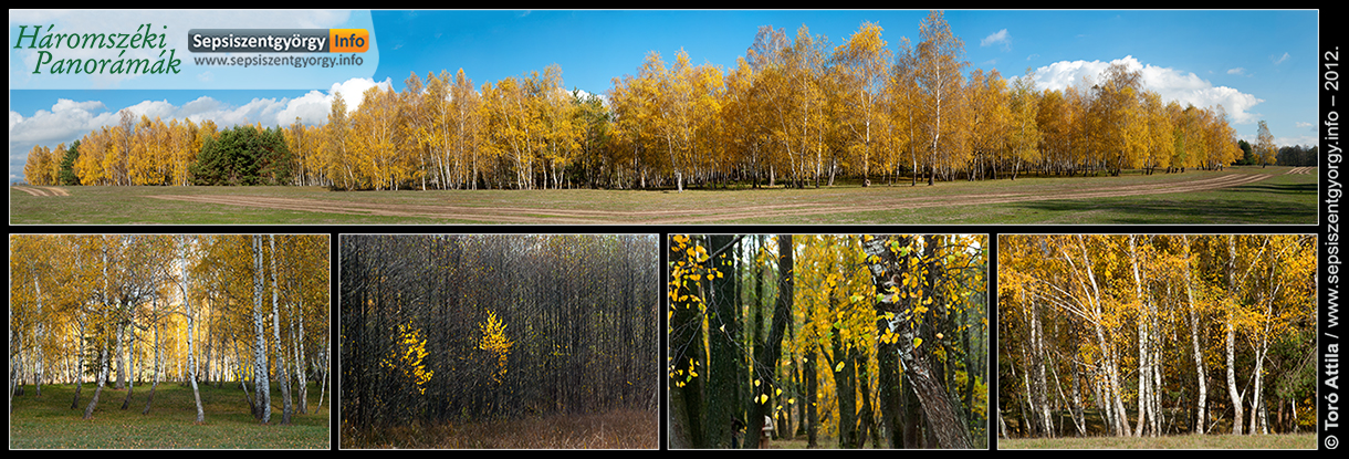 Rétyi Nyír,  természetvédelmi terület – 2012 Rétyi Nyír,  természetvédelmi terület – 2012