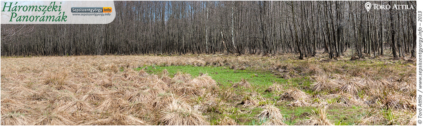 Rétyi Nyír természetvédelmi terület - 2013. április Rétyi Nyír természetvédelmi terület - 2013. április
